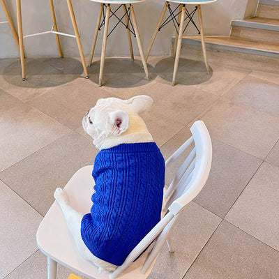 Abrigo Invernal Grueso y Cálido para Bichón Frisé y Corgi - Image 5
