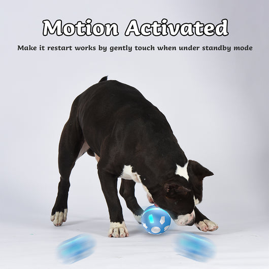 Blue smart electric pet toy ball with glowing light accents and a 'BENTOPAL' logo, designed for cats and small dogs. - Image 9
