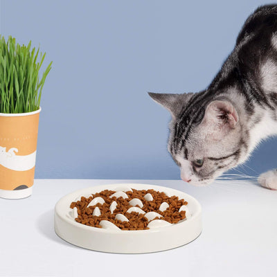 Comedero Lento Antiestrés para Perros y Gatos - Image 6