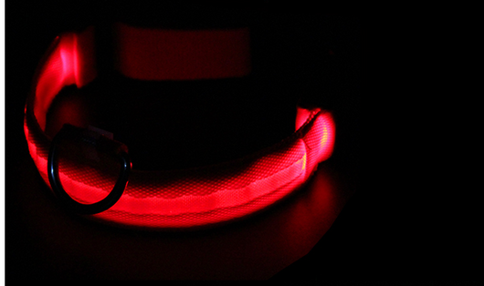 Collar Luminoso para Perros Fashion - Seguridad y Estilo - Image 19