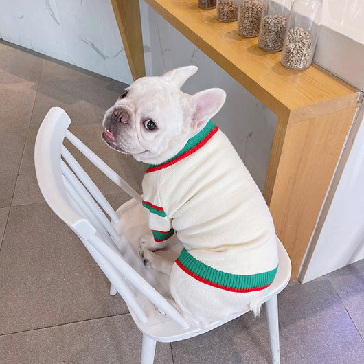 Abrigo Invernal para Mascotas Bichón, Schnauzer y Gatos - Image 11