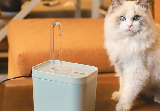 Fuente de Agua Automática para Gatos con Filtro USB Silenciosa 1.5L - Image 22