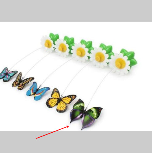 Electric pet toy with a row of white and yellow daisy flowers, green leaves, and five colorful feather birds on wires. - Image 13