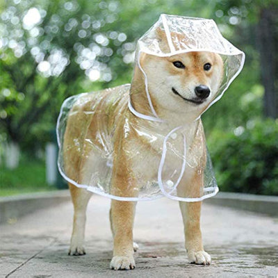 Impermeable Transparente para Perros Pequeños y Medianos con Capucha - Image 3