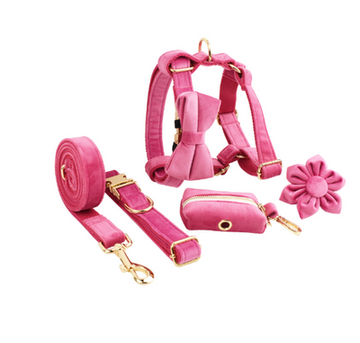 Collar de Terciopelo para Perros - Diseño Elegante y Cómodo - Image 16