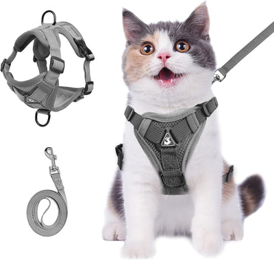 Arnés y Correa para Gatos de Verano - Chaleco Ajustable Anti-Escape en Malla Suave - Image 8