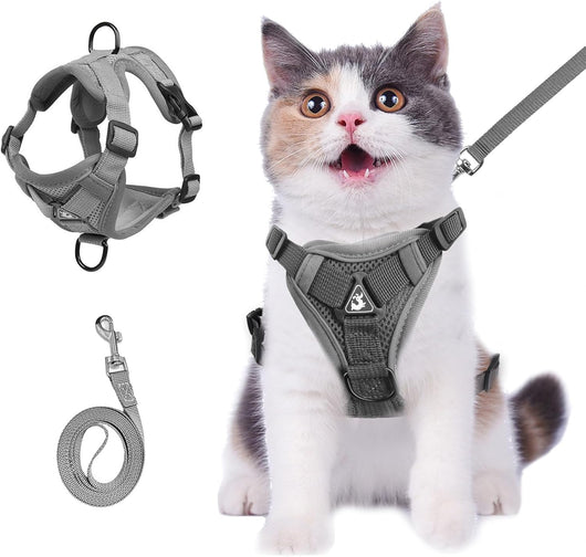 Arnés y Correa para Gatos de Verano - Chaleco Ajustable Anti-Escape en Malla Suave - Image 8