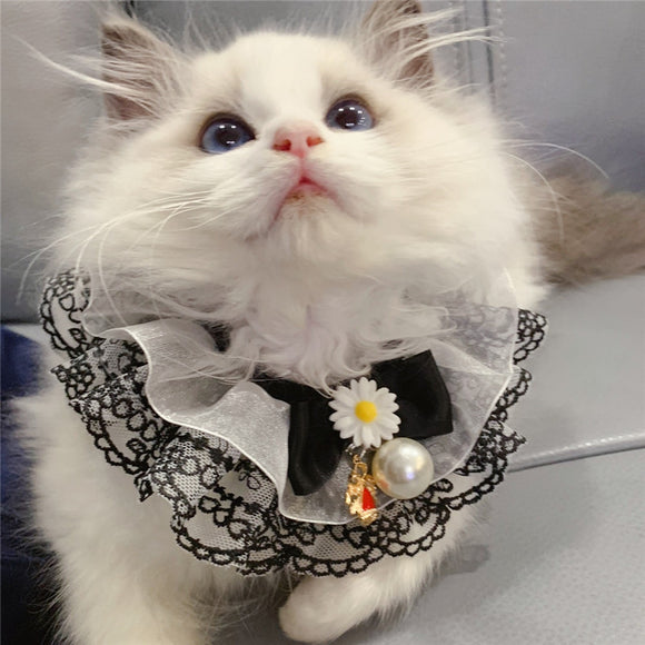 Pañuelo Encaje Hada Negra para Mascotas