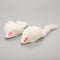 White Approximately 18 Cm Long