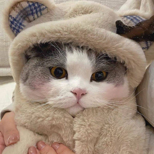 Capa Térmica de Felpa para Mascotas - Manta Cálida Oso Adorable Otoño Invierno - Image 2