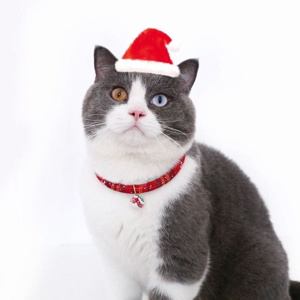 Collar Ajustable para Mascotas con Guantes Navideños y Cascabel