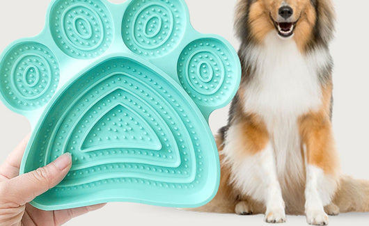 Tapete Silicona Comedero Lento para Perros con Ventosa - Image 12