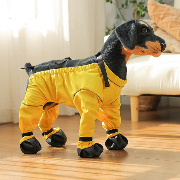 Protectores de Patas Impermeables para Perros