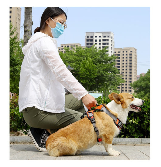 Arnés Chaleco para Perro con Cuerda de Sostén Manual - Image 24