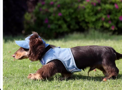 Sombrero Vaquero Protector Solar para Mascotas - Image 10