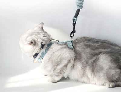Arnés de Paseo para Gatos con Correa Pectoral - Image 13