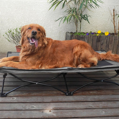 Cama Plegable para Perros de Doble Capa Grande