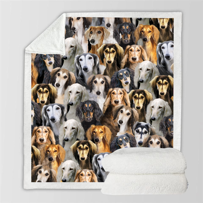 Manta Flanela Estampada para Perros de Moda - Image 15