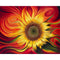 Style 99992 40 x 50 cm