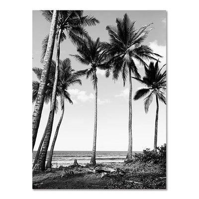 Cuadro Decorativo Playa Nórdico Moderno Blanco y Negro - Póster sin Marco Surf - Image 4