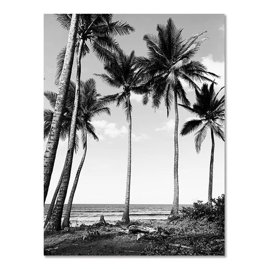 Cuadro Decorativo Playa Nórdico Moderno Blanco y Negro - Póster sin Marco Surf - Image 4