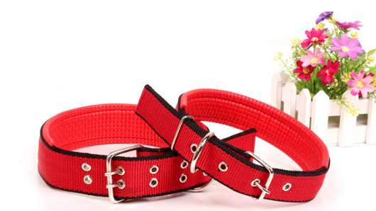 Cadena Reforzada de Tres Piezas para Perros - Image 14