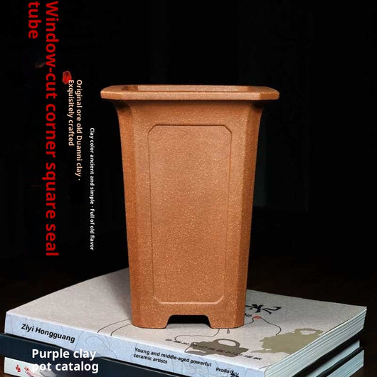 Maceta Zisha Orquídea Ángulo Ancho - Diseño Cuadrado Premium - Image 8