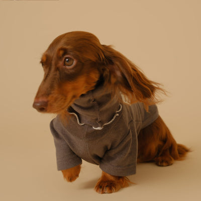 Abrigo Base para Perros Salchicha - Protección y Comodidad