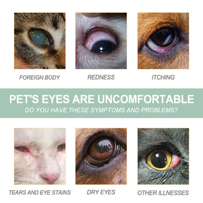 Gotas Oftálmicas para Perros y Gatos - Cuidado Ocular Profesional - Image 3