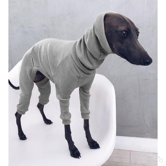 Mono Ligero para Perros Whippet y Galgos Italianos - Talla Mediana a Grande - Image 4