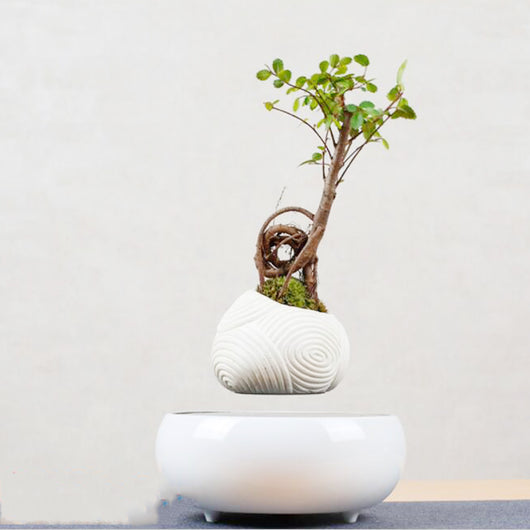 Plantas Flotantes con Levitación Magnética - Image 11