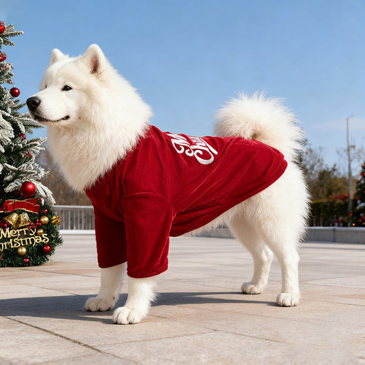 Ropa Navideña para Mascotas - Abrigos y Suéteres para Otoño e Invierno - Image 18