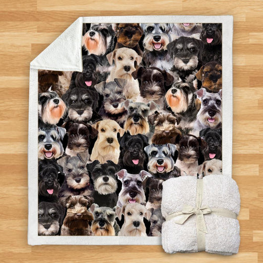 Manta de Franela Estampada para Perros de Diseño Moderno - Image 21