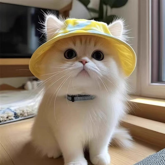 Gorro Cubo para Mascotas con Orejas Expuestas - Diseño Adorable - Image 9