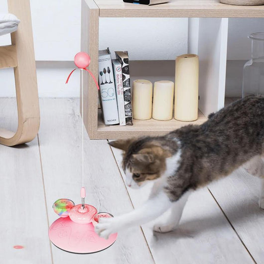 Tabby cat playing with a yellow suction cup cat toy featuring a spring-mounted teaser wand with an orange fur ball.