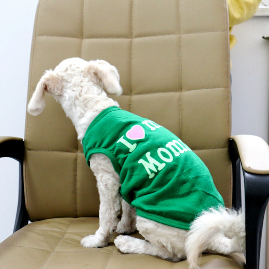 Chaleco para Mascotas Estilo Clásico Mamá Papá - Image 38