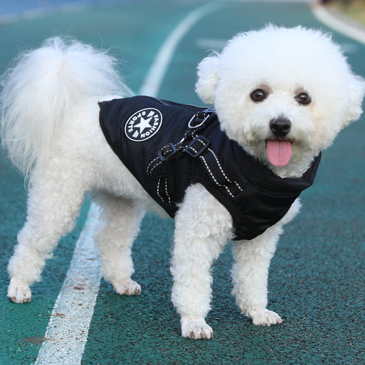 Abrigo Térmico para Perros en Algodón con Forro Grueso - Image 4