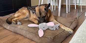 Juguetes para Perros con Sonajero y Papel Crujiente - Peluches Interactivos para Cachorros - Image 13