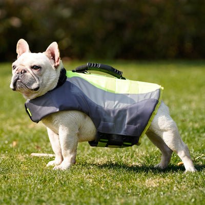 Chaleco Salvavidas Reflectante para Perros con Diseño de Traje de Baño - Image 9
