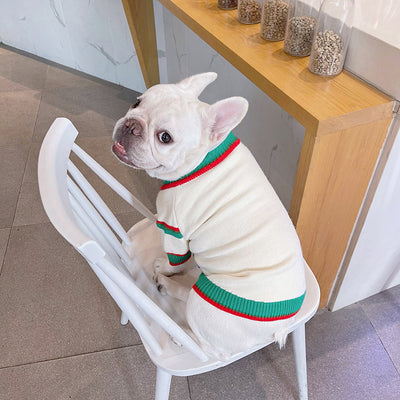 Abrigo Invernal para Mascotas Bichón, Schnauzer y Gatos - Image 17