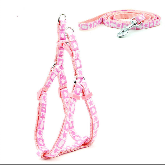 Arnés y Correa para Perro con Estampado de Huesos - Colección Verano - Image 2