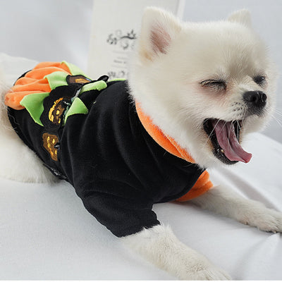 Ropa de Abrigo para Mascotas - Otoño e Invierno - Image 3
