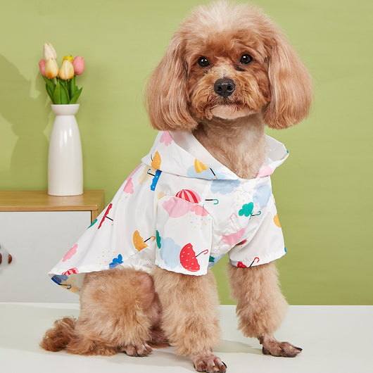 Ropa Colorida con Diseños de Dibujos Animados para Mascotas