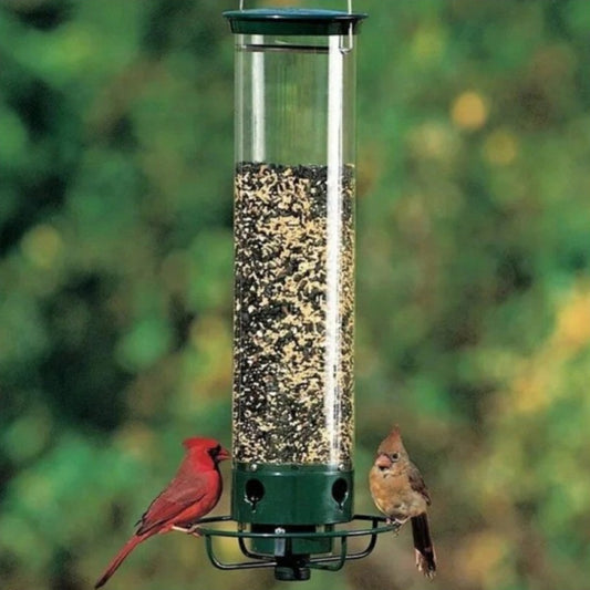 Green and clear tube hanging bird feeder with a metal wire hanger, designed for attracting hummingbirds.