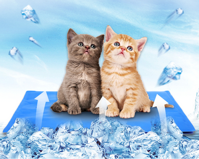 Almohadilla Refrigerante de Gel Lavable para Mascotas - Image 6