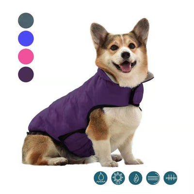 Ropa de Algodón para Perros Otoño e Invierno - Image 7
