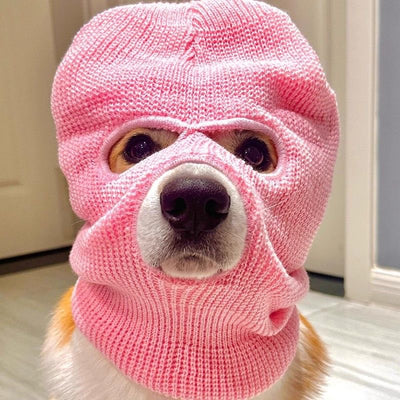 Gorro Creativo para Perro Corgi - Diadema Divertida para Mascotas - Image 6
