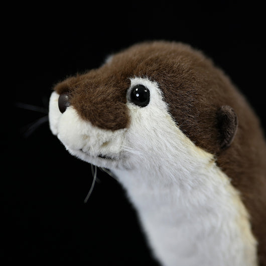Peluche Nutria Adorable - Image 10