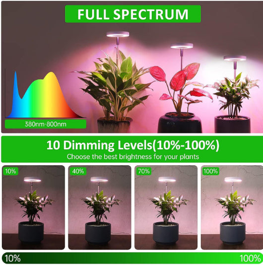 Luz LED de Crecimiento para Plantas Suculentas y Bonsái con Temporizador y Atenuador - Image 3