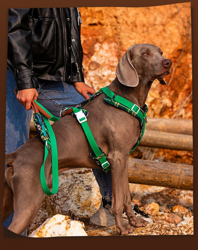 Arnés de Pecho para Perros con Correa de Fácil Colocación - Image 8